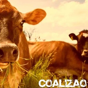 Aos Milhões de Enganados (Explicit)