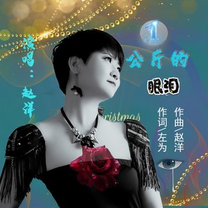 一公斤的眼泪 (赵洋版)