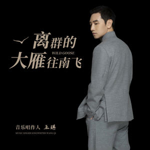 离群的大雁往南飞