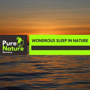 Wondrous Sleep in Nature