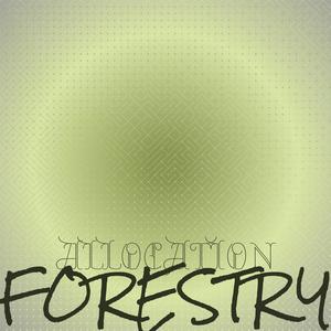 Allocation Forestry