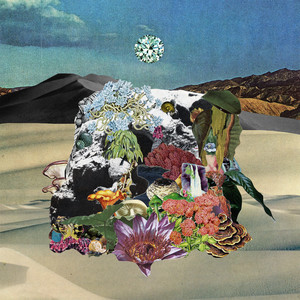 Craigslist Bus Blues