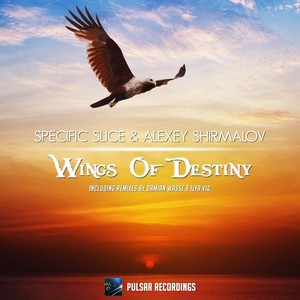 Wings Of Destiny