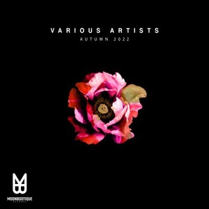 Glorious Mess (Original Mix)