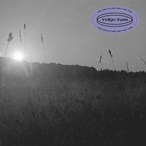 The Walls Are Way Too Thin