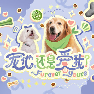 Furever Yours 宠他，还是爱我 新传媒电视剧原声带