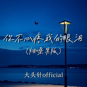 大头针 Official - 你不心疼我的眼泪 (烟嗓男版)