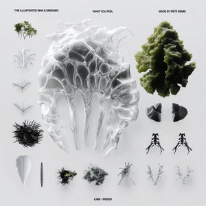 What You Feel (Made By Pete Remix)