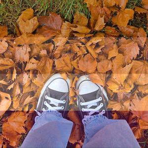 ace/21 (feat. halfhearted)