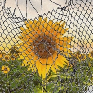 梦牢监狱长 (Prod By elijah who)