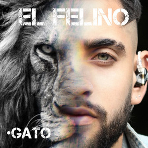 Gato (Explicit)