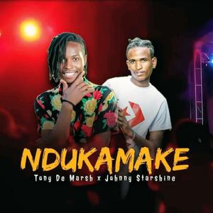 Ndukamake (feat. Johnny Starshine)