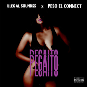 Pegaito (Explicit)