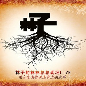 漂亮的姑娘