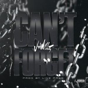 Can't Forget (Explicit)