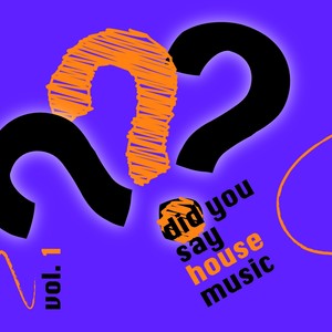 Did You Say House Music?, Vol. 1