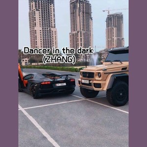 Dancer in the dark (ZHANG Radio Edit)