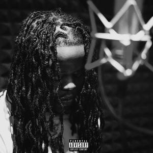 Test Run(feat. 76Vosso) (Explicit)