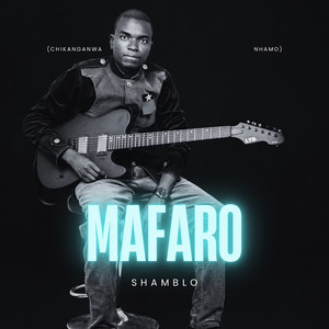 Mafaro (Chikanganwa Nhamo)