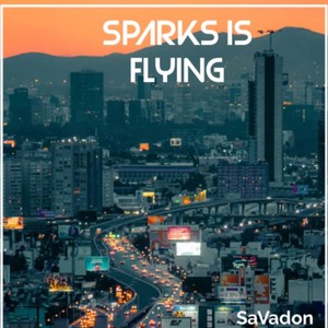Sparks Is Flying (Explicit)