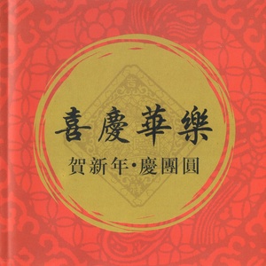 金蛇狂舞封面