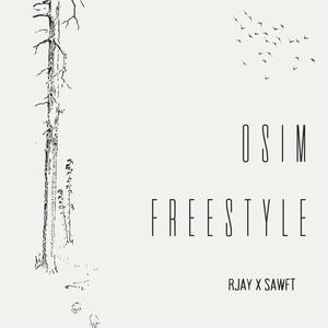 Osim Freestyle (feat. Sawft)