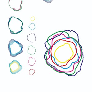 Polinizadores Nocturnos