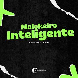 Malokeiro Inteligente