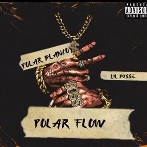 Polar Flow (feat. P.6lamco) (Explicit)