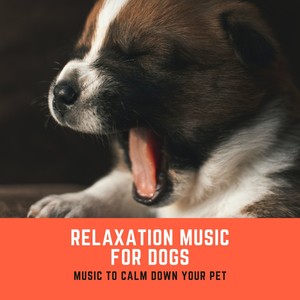 Relaxation Music for Dogs – Music to Calm Down Your Pet