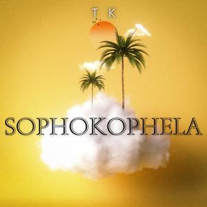 Sophokophela