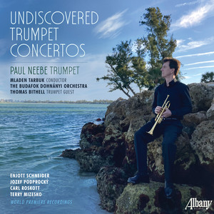 Lamento for Don Quixote – 12 Variations