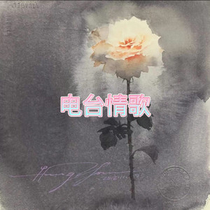 卓儿 - 虚拟