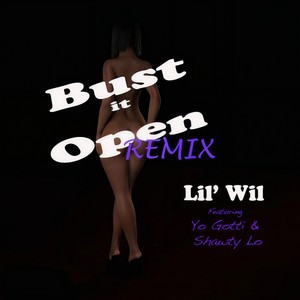 Bust It Open[feat. Yo Gotti & Shawty Lo] (Remix)