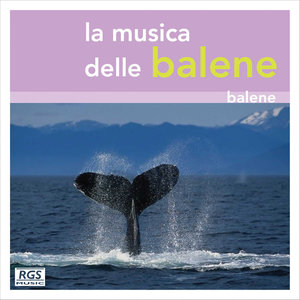 The Music Of Whales