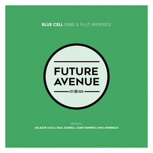 Flut (Max Averbach Remix)
