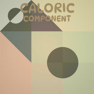 Caloric Component