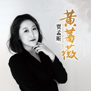 黄蔷薇 (DJ版)