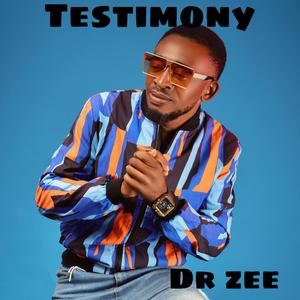 Testimony(feat. Pincode)