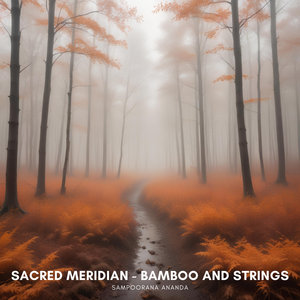 Sacred Meridian - Bamboo and Strings