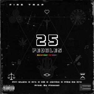 25 Pedales (feat. PiriMusic, Janiko & Pibe de Oro) [Killer_Beatz & Flowzzi Remix Extended Version]