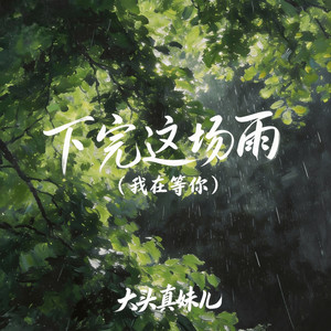 下完这场雨(我在等你)-大头真妹儿