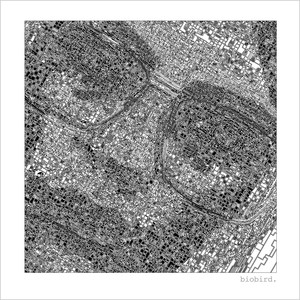 Biobird - Change of Heart