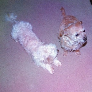 Contemplating! (Explicit)