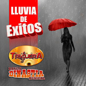 Lluvia De Exitos (Banda)