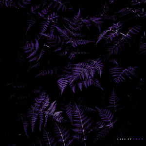 Energy (feat. Frank Mank Loc) (Explicit)