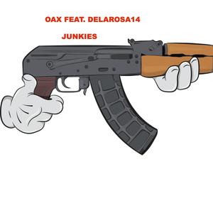 Junkies (feat. Delarosa14) [Explicit]