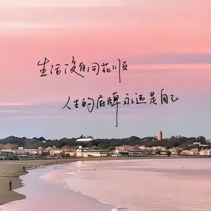 我会反复爱上你 (旋律慢摇版)