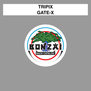 Gate-X