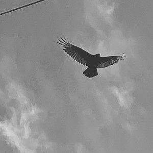 4REAL4LiFE (Explicit)